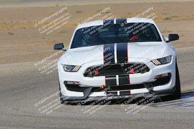 media/Sep-17-2022-Speed Ventures (Sat) [[da673e2131]]/Red/Cotton Corners/